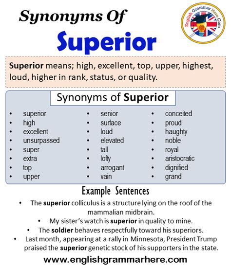 superiority synonyms|sense of superiority synonym.